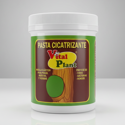 [VARVIT003] PASTA CICATRIZANTE  1 KG